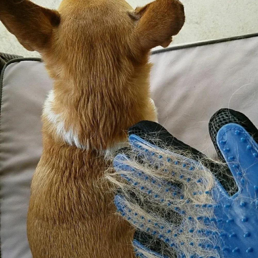 BUY 1 Get 1 FREE Deshedding Massaging Pet Glove